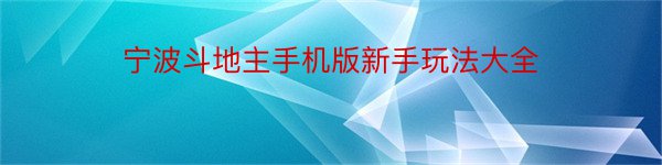 宁波斗地主手机版新手玩法大全