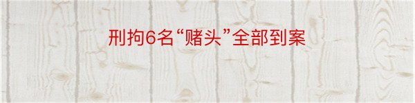 刑拘6名“赌头”全部到案