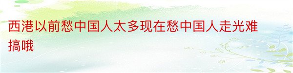 西港以前愁中国人太多现在愁中国人走光难搞哦